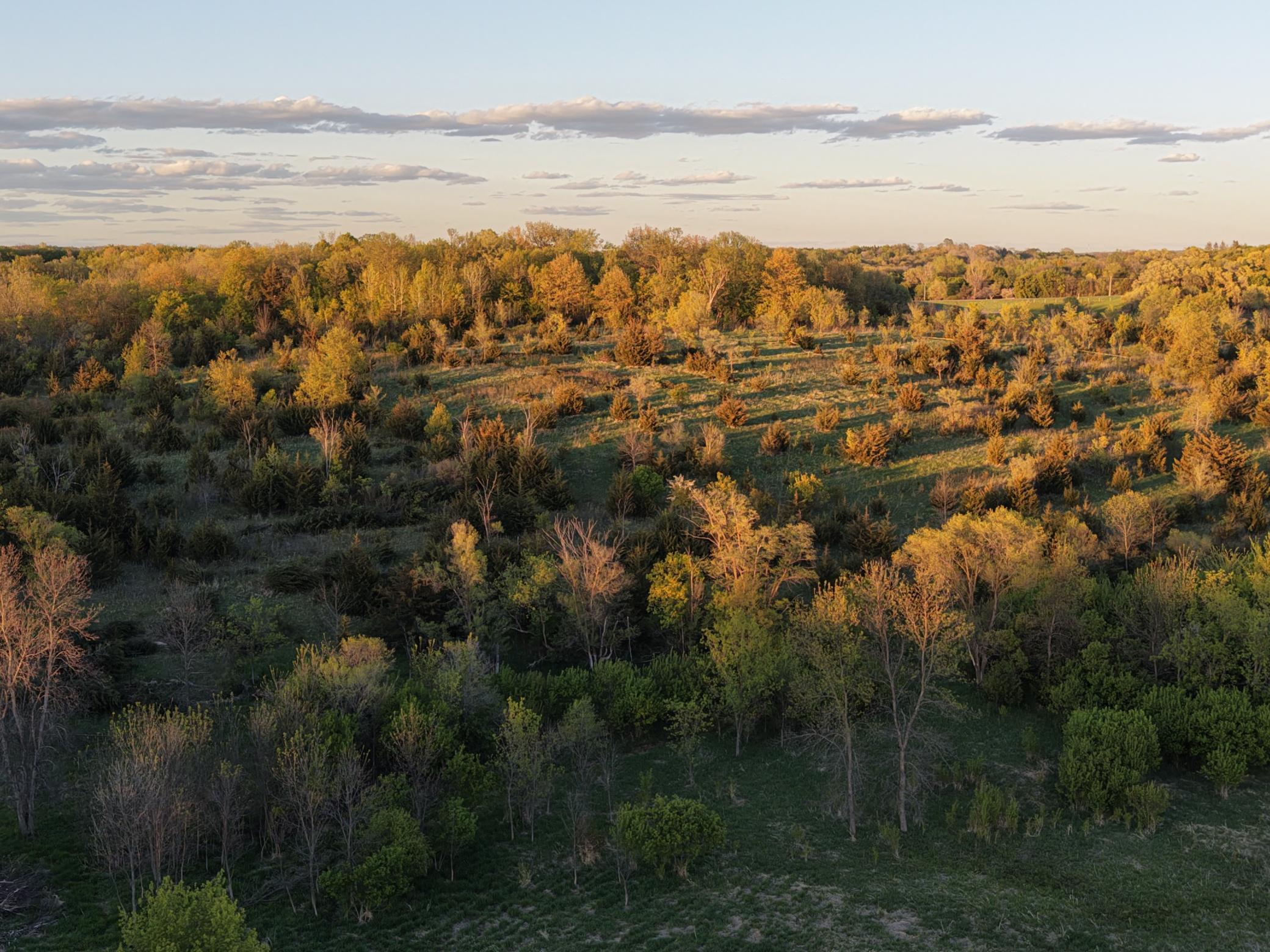 Land in Prior Lake