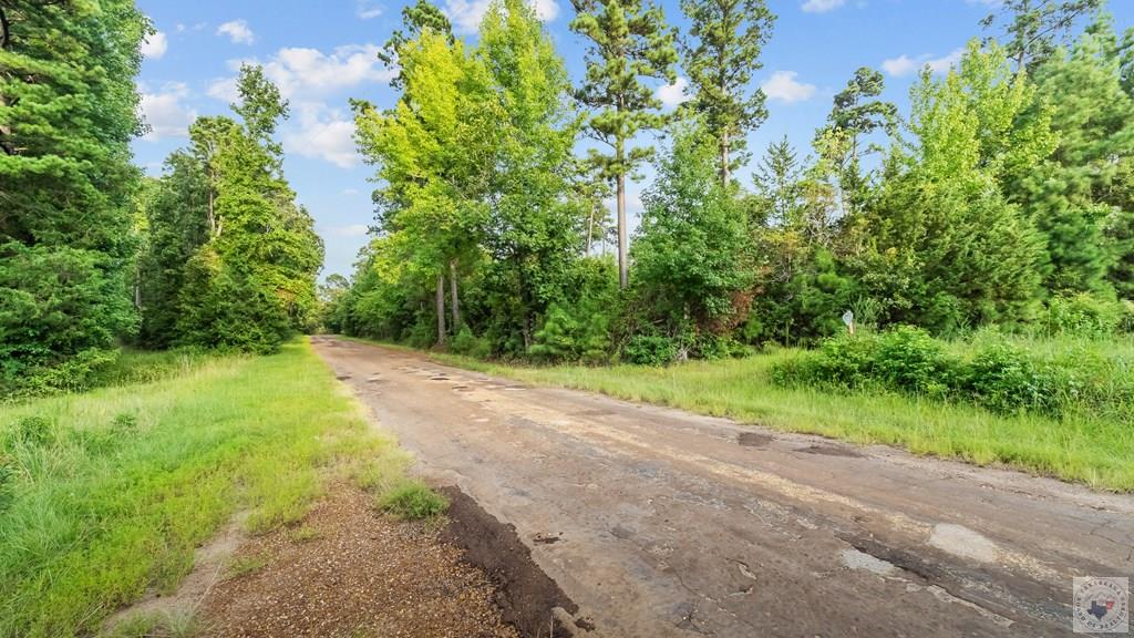 Land in Atlanta 4