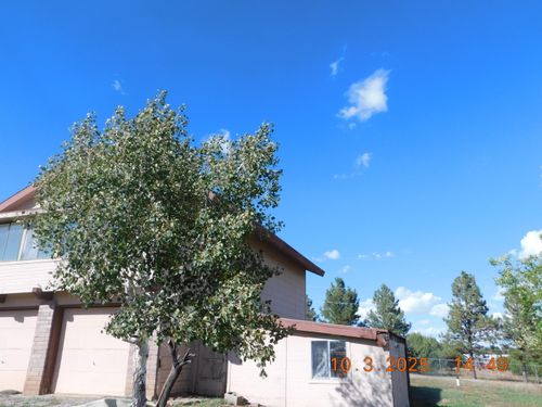 20 Conejo Rd, Cedar Crest, NM, 87008-9453 | Card Image