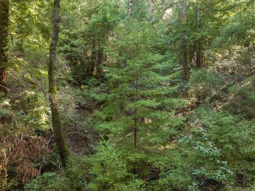 0 Lake Blvd, Felton, CA, 95018 | Card Image