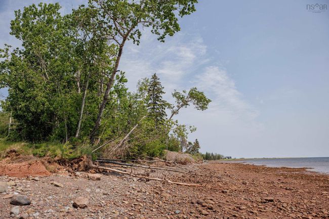 195 Reids Cove Rd, Home with 2 bedrooms, 1 bathrooms and 1 parking in Sand Point NS | Image 28
