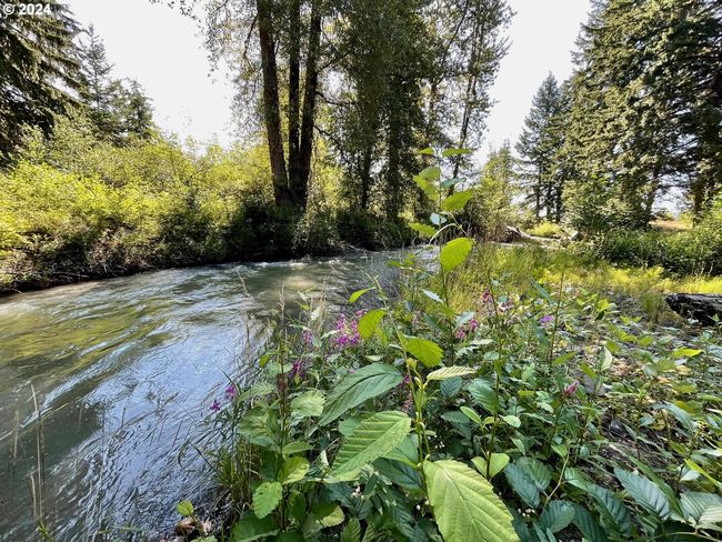 River Access | Image 43