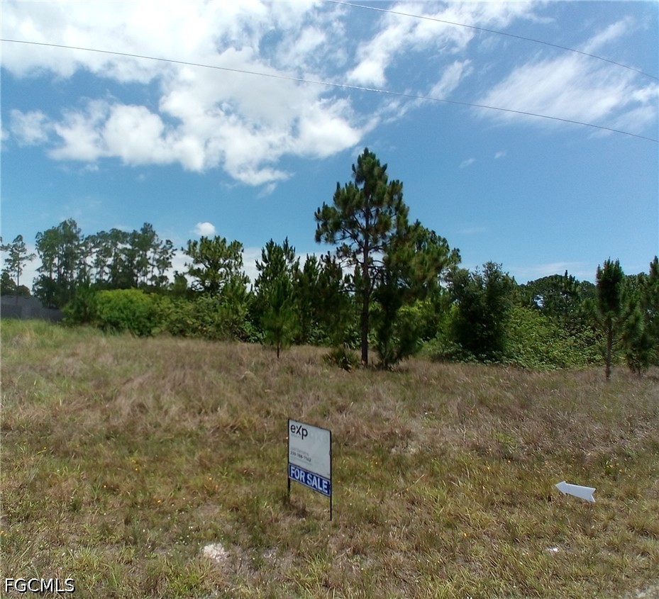 Land in Lehigh Acres 2