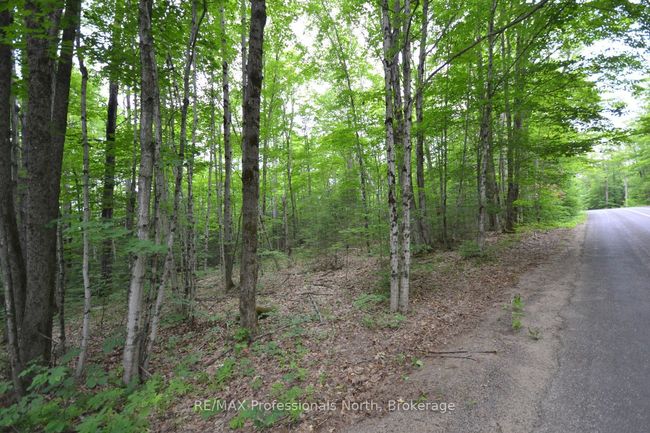 0 Harburn Rd, Home with 0 bedrooms, 0 bathrooms and null parking in Haliburton ON | Image 16