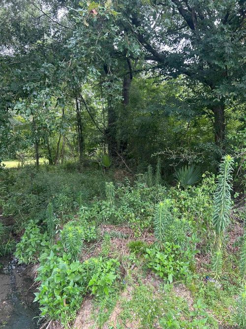 Lot 40 Henderson Ln, Walker, LA, 70785 | Card Image