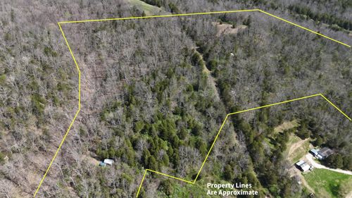 215 Big Twin Creek Rd, Worthville, KY, 41098-9225 | Card Image