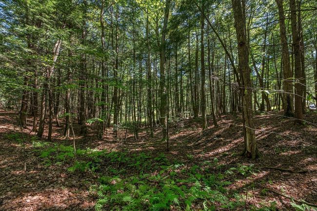Lot 2 E Amber Lake Rd, Home with 0 bedrooms, 0 bathrooms and null parking in Lac du Flambeau WI | Image 19