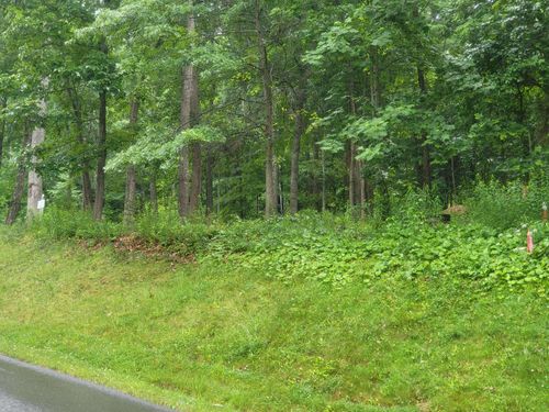 Lot 50 Donald Ross Trl, HOT SPRINGS, VA, 24445 | Card Image