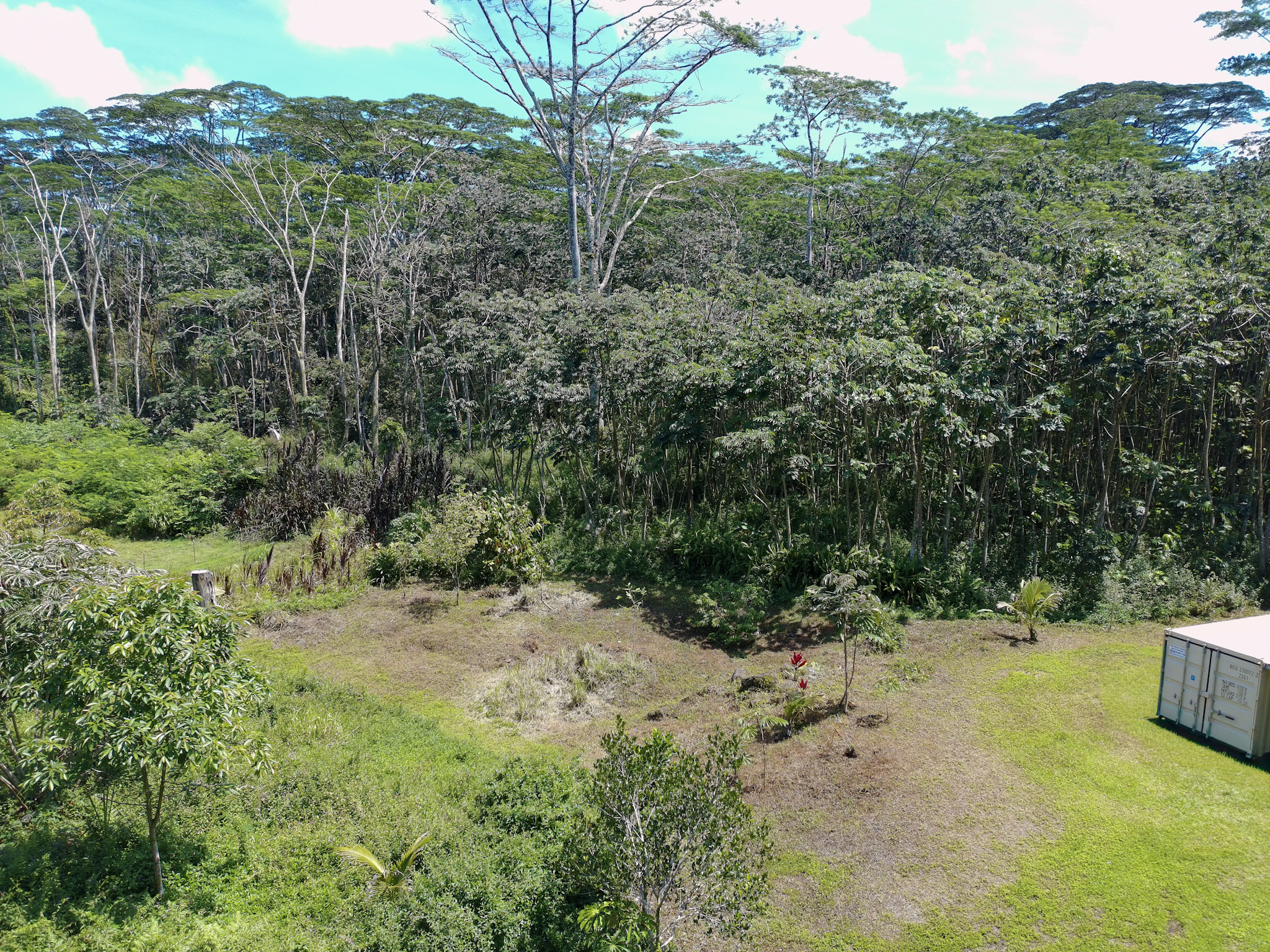 Land in Pahoa 3