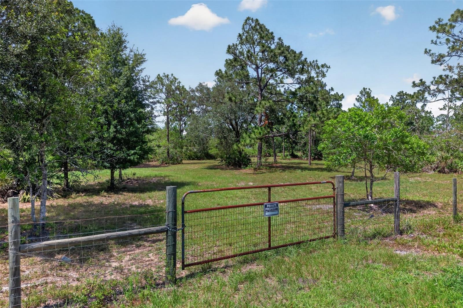 Land in ORLANDO 4