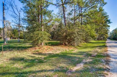 Lot 392 County Road 6494, Home with 0 bedrooms, 0 bathrooms and null parking in Dayton TX | Image 1