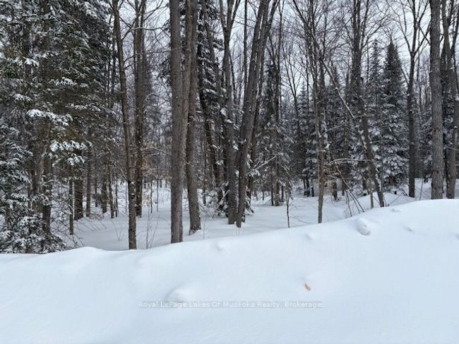 47 Summer Leigh Trail, Home with 0 bedrooms, 0 bathrooms and null parking in Utterson ON | Image 7