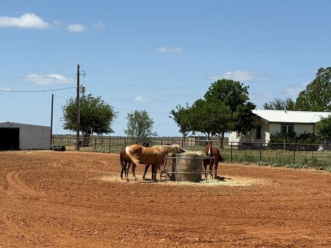 447 W Fm 1606, House other with 3 bedrooms, 2 bathrooms and 2 parking in Ira TX | Image 67