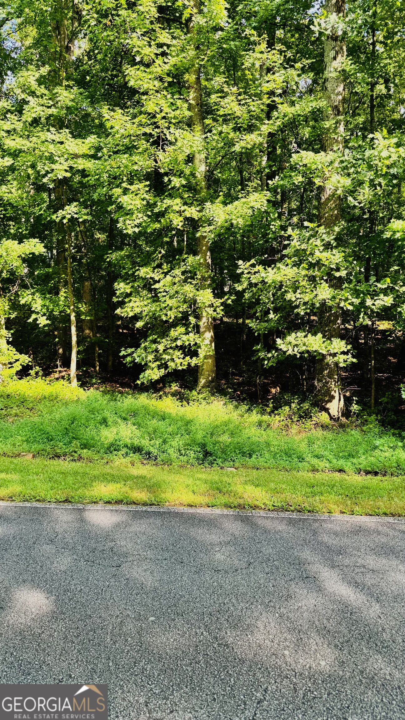 Land in Villa Rica
