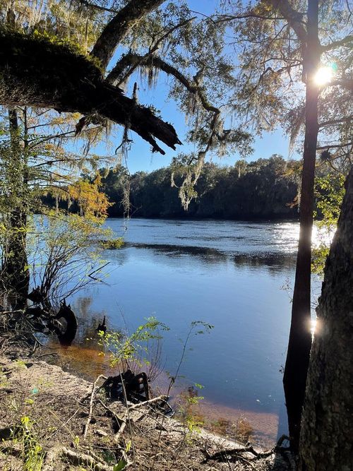 839 Nw 78th Ave, Bell, FL, 32619-3032 | Card Image