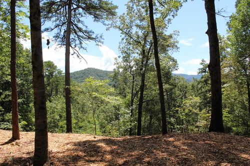 Lot 5J Eagle Fork Trl, Hayesville, NC, 28904 | Card Image