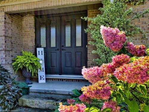 {{alt}} | Card Image