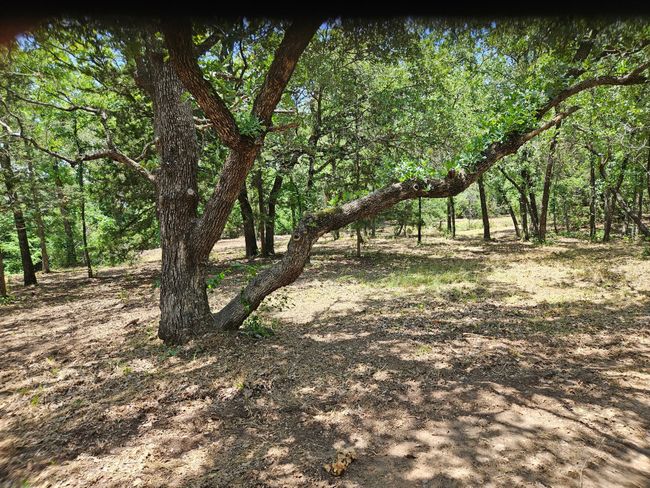 140 Rolling Bend Rd, Home with 0 bedrooms, 0 bathrooms and null parking in Alvord TX | Image 16
