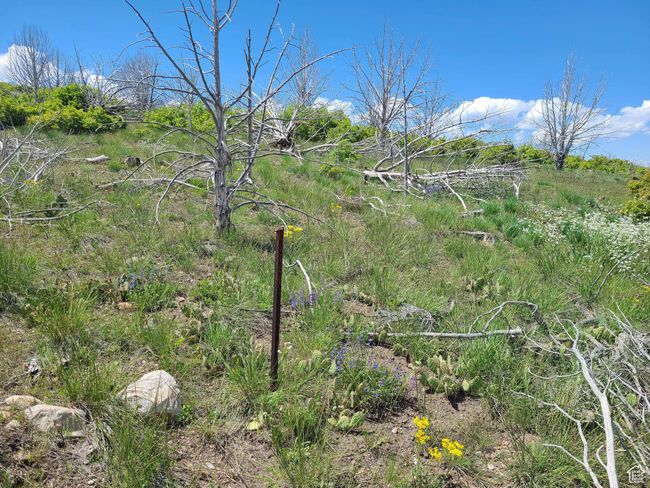 C7 - 7 Thunder Cloud Cir, Home with 0 bedrooms, 0 bathrooms and null parking in Fairview UT | Image 5