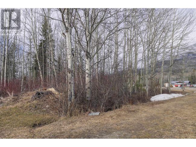 1105 S Frontage Rd, Home with 0 bedrooms, 0 bathrooms and null parking in Mcbride BC | Image 8