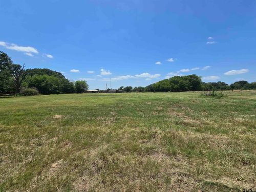 0 Vz County Road 1181, Grand Saline, TX, 75140 | Card Image