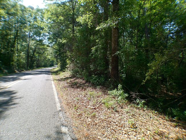 1725 - 00 Christian Life Rd, Home with 0 bedrooms, 0 bathrooms and null parking in Defuniak Springs FL | Image 12