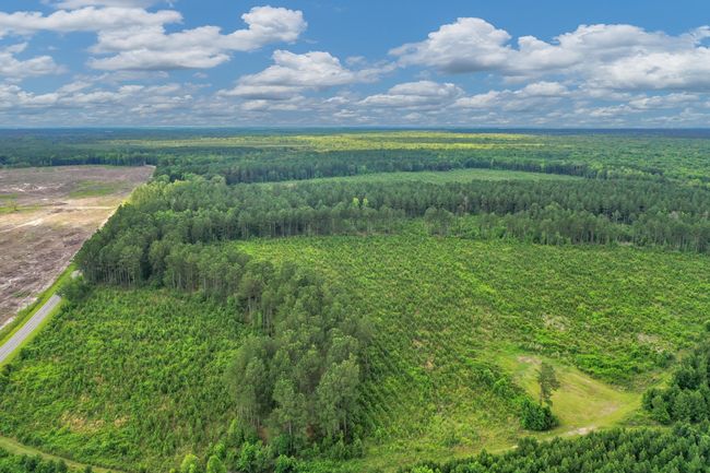 DJI_0627 | Image 6