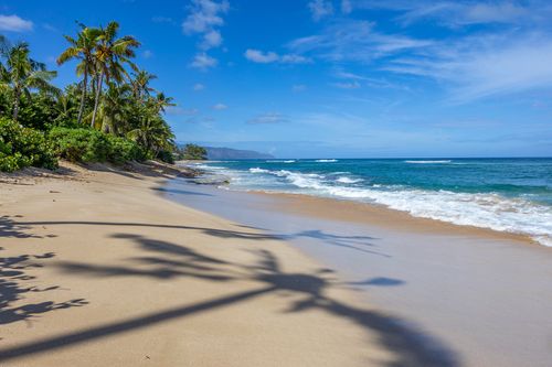 61-695 Kamehameha Hwy, Haleiwa, HI, 96712-1339 | Card Image