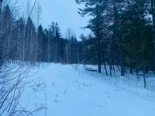 706 County Rd, West Glover, VT, 05875-9685 | Card Image