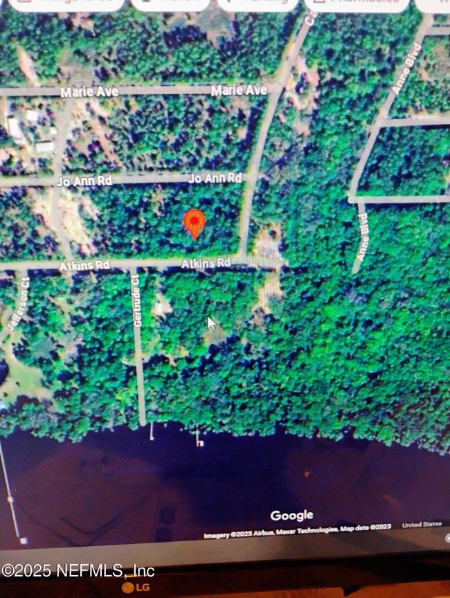 228 Atkins Rd, Home with 0 bedrooms, 0 bathrooms and null parking in Georgetown FL | Image 9