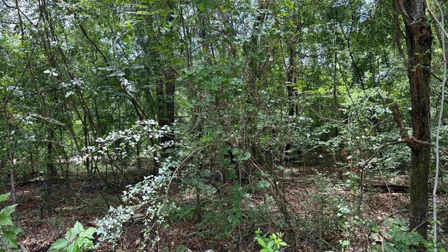 20C Mystic Cir, Home with 0 bedrooms, 0 bathrooms and null parking in Byron GA | Image 5