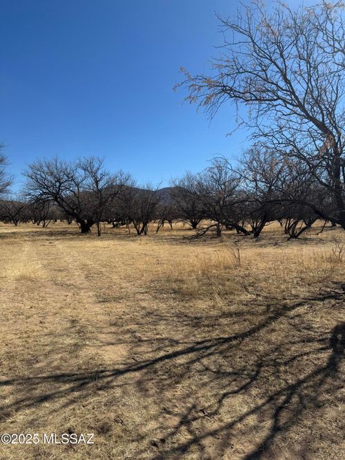 1-000 No Address, Nogales, AZ, 85621 | Card Image