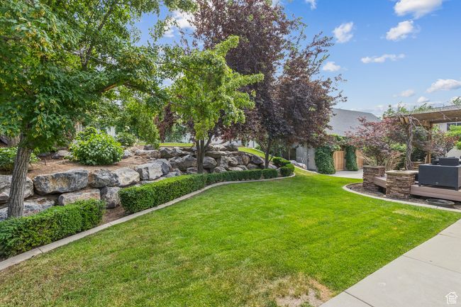 View of grassy yard | Image 79