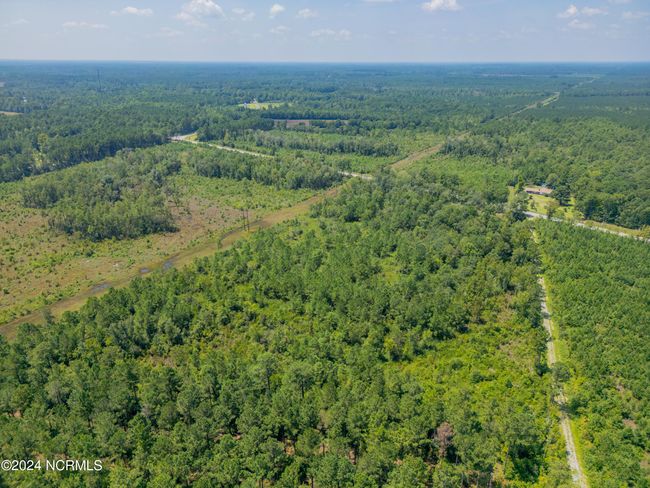 949 General Howe Hwy Road, Home with 0 bedrooms, 0 bathrooms and null parking in Riegelwood NC | Image 22