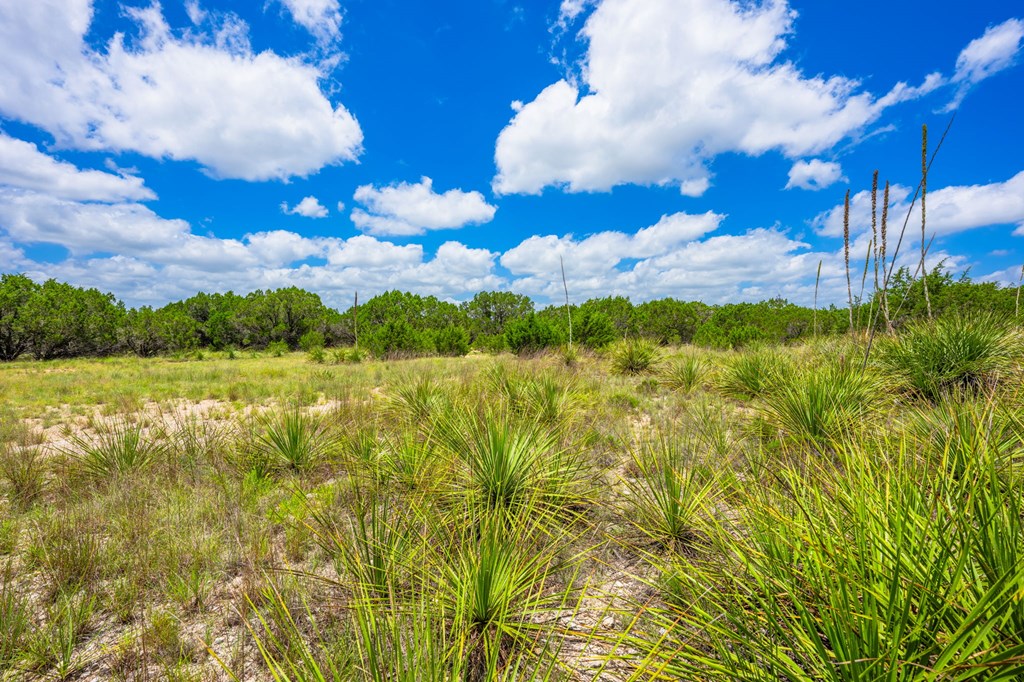 Land in Bandera 4