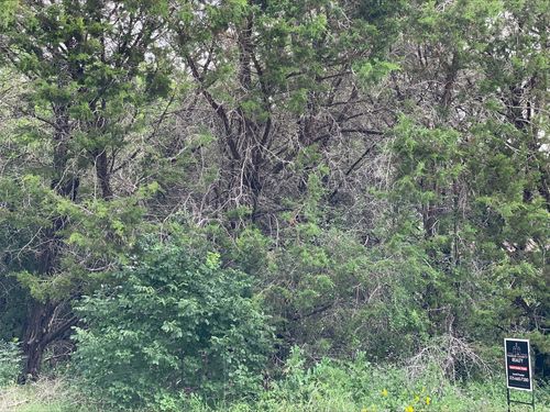 TBD Western Lake Dr, Weatherford, TX, 76087 | Card Image