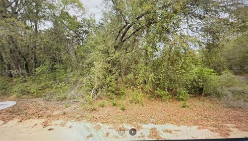 00 Elizabeth Cir, Interlachen, FL, 32148 | Card Image