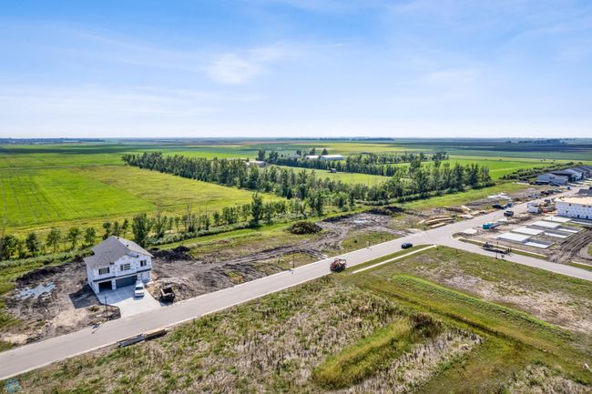 Tree Line Lots Drone 1 | Image 7