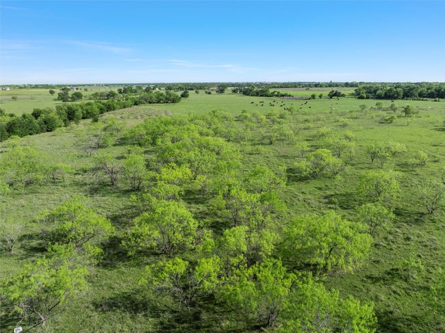 View of nature featuring a rural view | Image 16