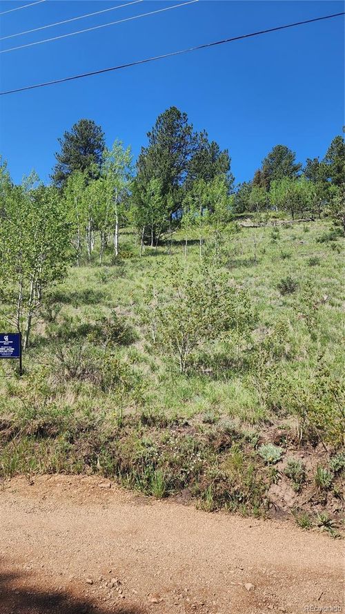 267 Ward St, Bailey, CO, 80421-1453 | Card Image