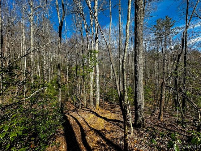 41.18 Acres (Off Of) Pole Bridge Rd, Home with 0 bedrooms, 0 bathrooms and null parking in Stuart VA | Image 18
