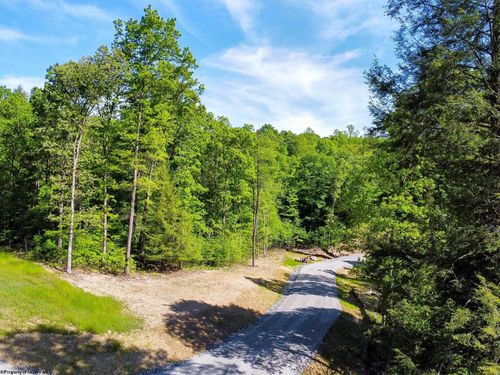 Lot 93 Laurel Loop - Whitewater Preserve Loop, Bruceton Mills, WV, 26525 | Card Image