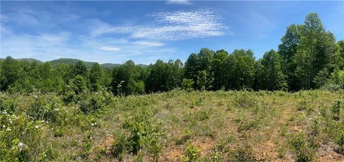 Lot 5 Madison Ln, Jefferson, NC, 28640 | Card Image