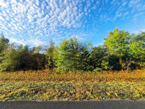 TBD Sw State Road 73, Wewahitchka, FL, 32449 | Card Image