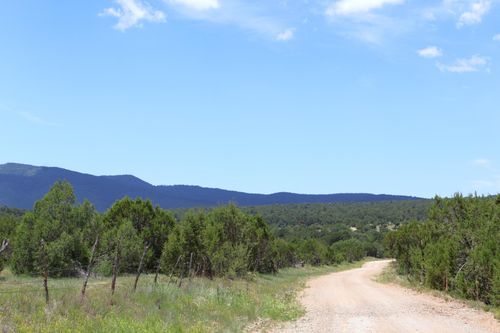 Lot 37 Sherwood Forest Dr, Torreon, NM, 87061-7049 | Card Image