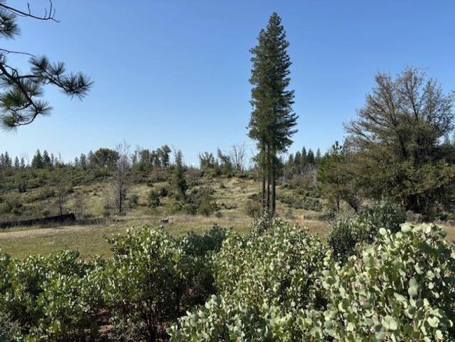 19292 Shawnee Trl, Home with 0 bedrooms, 0 bathrooms and null parking in Mokelumne Hill CA | Image 39