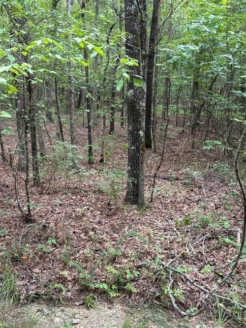 00 Venado Way, Hot Springs Village, AR, 71909 | Card Image