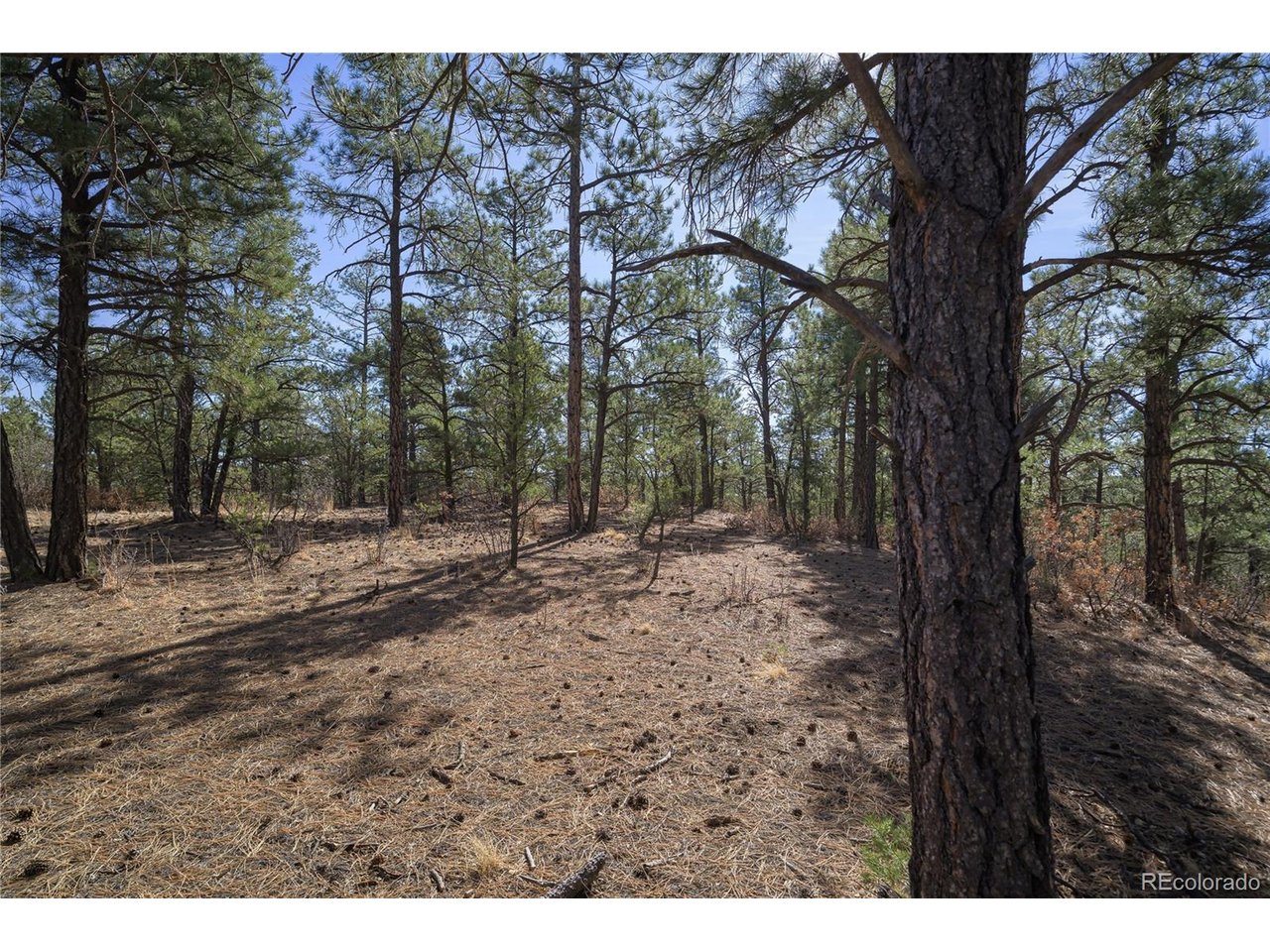 Land in Weston 5