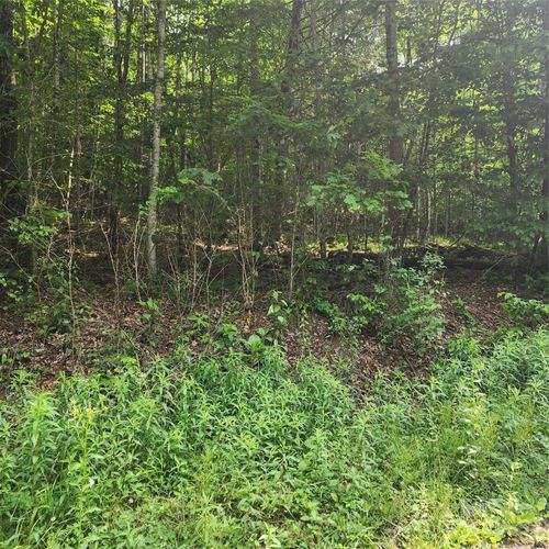 00 Poplar Creek Rd, Green Mountain, NC, 28740 | Card Image