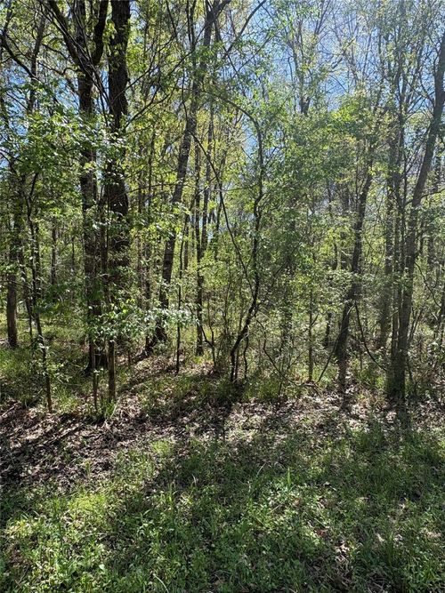 TBD County Road 2505, Liberty, TX, 77575 | Card Image